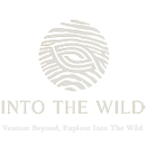 into the wild footer