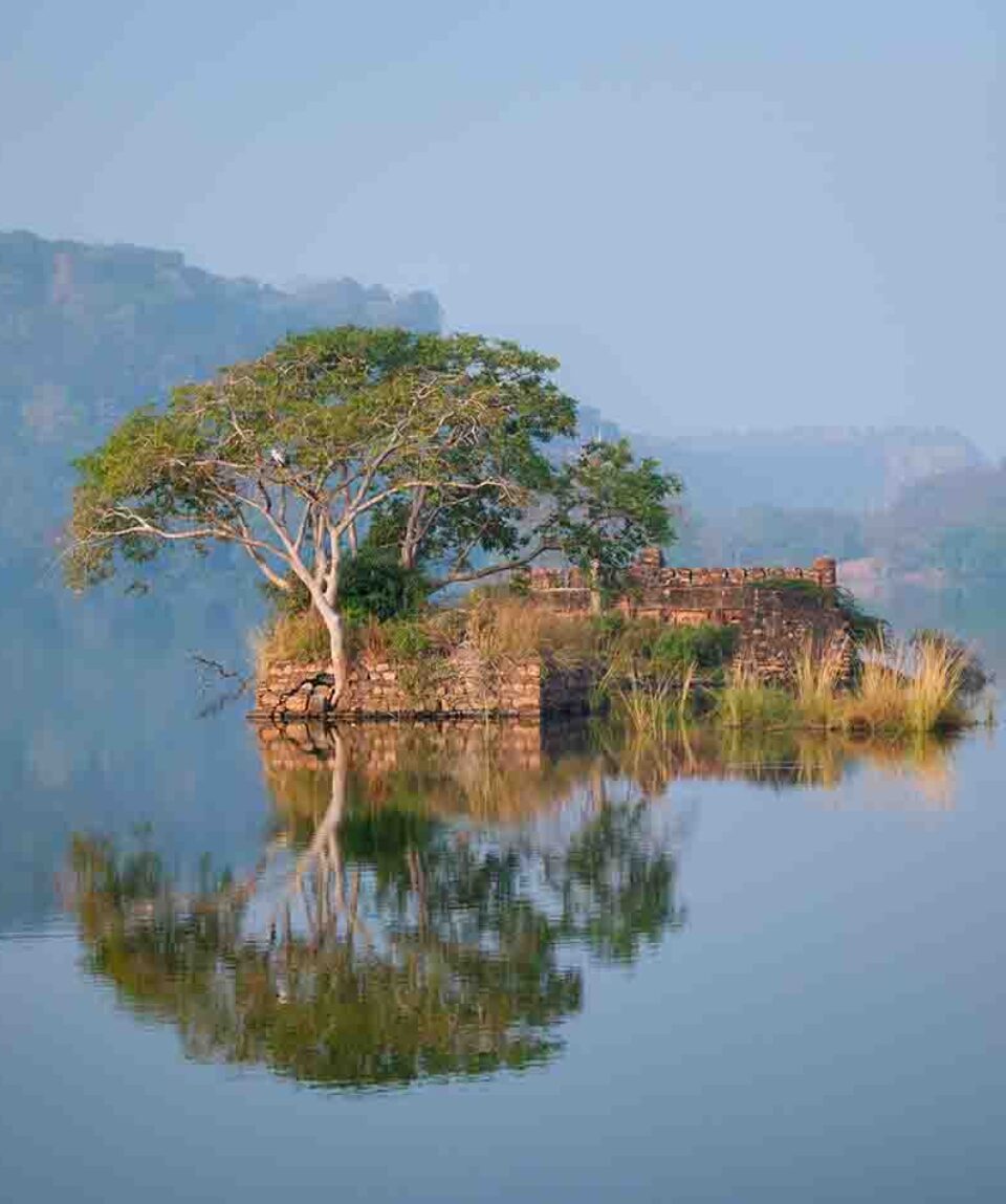Ranthambore National Park lake with old palace ruins